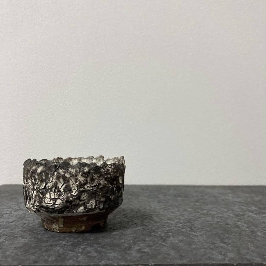 Amazon.co.jp: Ken Sakamoto Pottery Pot, Invisible Ink